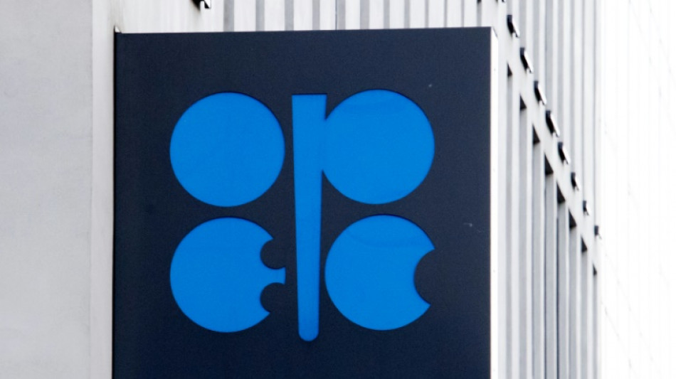 L'Opep+ r&eacute;duit sa production de p&eacute;trole face aux craintes de r&eacute;cession