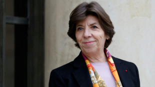 Catherine Colonna &agrave; Bakou et &agrave; Erevan "courant avril"