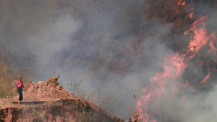 En Birmanie, un festival pour c&eacute;l&eacute;brer l'agriculture sur br&ucirc;lis, malgr&eacute; la pollution