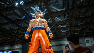 Pr&egrave;s de Paris, un projet de parc d'attractions Dragon Ball &agrave; l'&eacute;tude