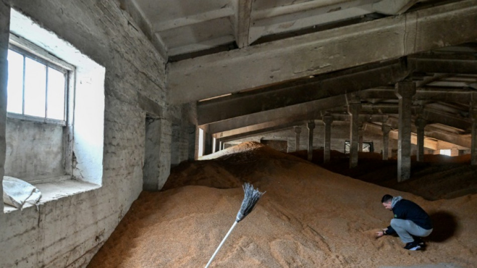 Polonia vuelve a autorizar el tr&aacute;nsito de trigo ucraniano