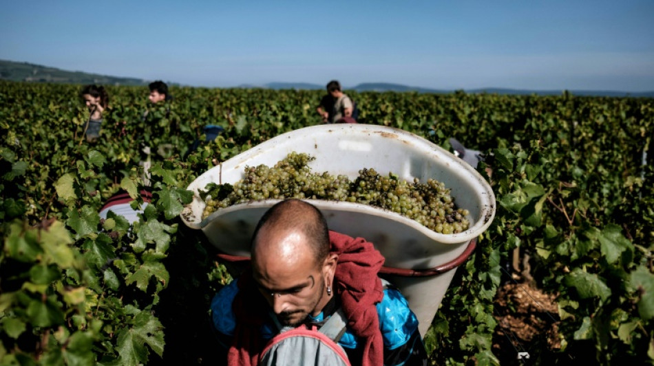 Gewerkschaftliche Initiative kritisiert Arbeitsbedingungen f&uuml;r Erntehelfer