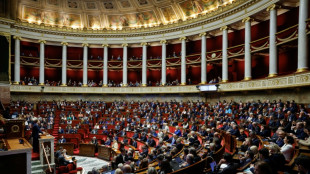 Frankreichs Regierung will Parlament &uuml;ber EU-Mercosur-Abkommen abstimmen lassen