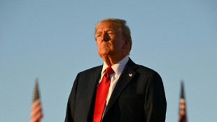 Uma f&ecirc;nix chamada Donald Trump