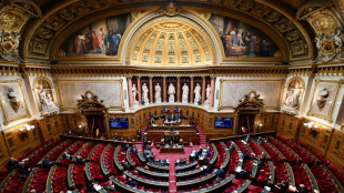 Le Parlement acc&eacute;l&egrave;re le d&eacute;veloppement des &eacute;nergies renouvelables