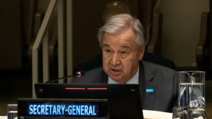UN chief arrives in Haiti for 'solidarity' visit: official