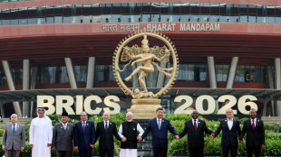 R&eacute;unis en Inde, les dirigeants des Brics font l'&eacute;loge de leur coop&eacute;ration