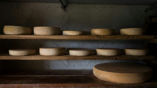 Lastwagenanh&auml;nger mit K&auml;se f&uuml;r 80.000 Euro in Mecklenburg-Vorpommern gestohlen