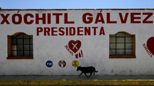 Elections au Mexique: la candidate de l'opposition n'est pas proph&egrave;te sur ses terres