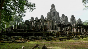 Cambodge: autour d'Angkor, le fragile retour des esp&egrave;ces sauvages menac&eacute;es 
