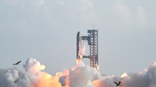 SpaceX lança seu megafoguete Starship em voo bem-sucedido de prova