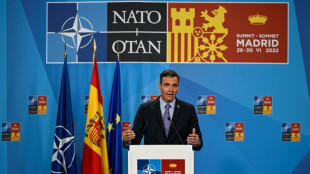 Detenido en Espa&ntilde;a un hacker que atac&oacute; al ej&eacute;rcito estadounidense, a la ONU y a la OTAN