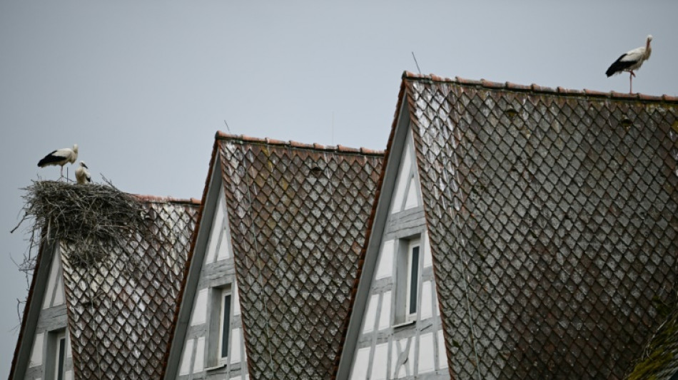 Fotograf selbst hineingelassen: Kein Schadensersatz f&uuml;r Mieter wegen Maklerbildern