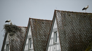 Fotograf selbst hineingelassen: Kein Schadensersatz f&uuml;r Mieter wegen Maklerbildern