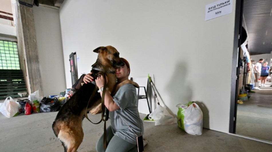 Cats and dogs saved from Ukraine floods find new homes