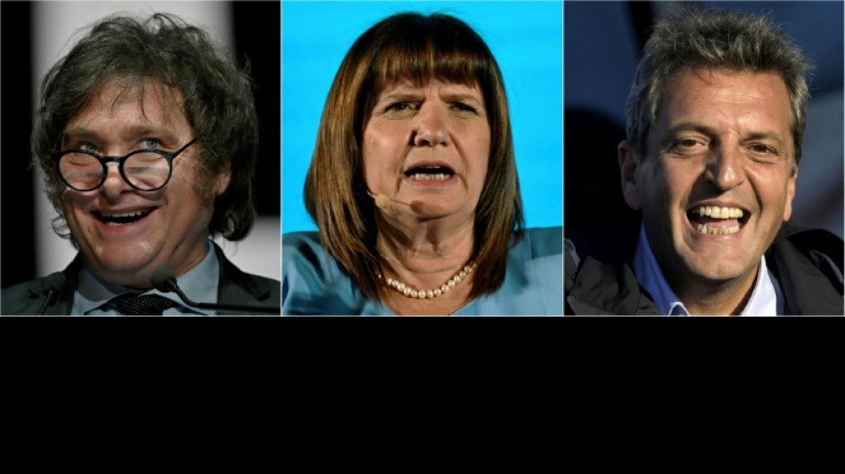 Argentines vote, seeking elixir for economic ills