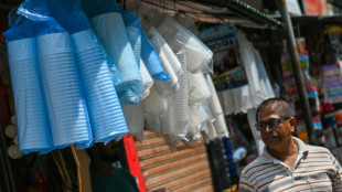 Los pl&aacute;sticos de un solo uso, prohibidos en Sri Lanka para proteger a los elefantes
