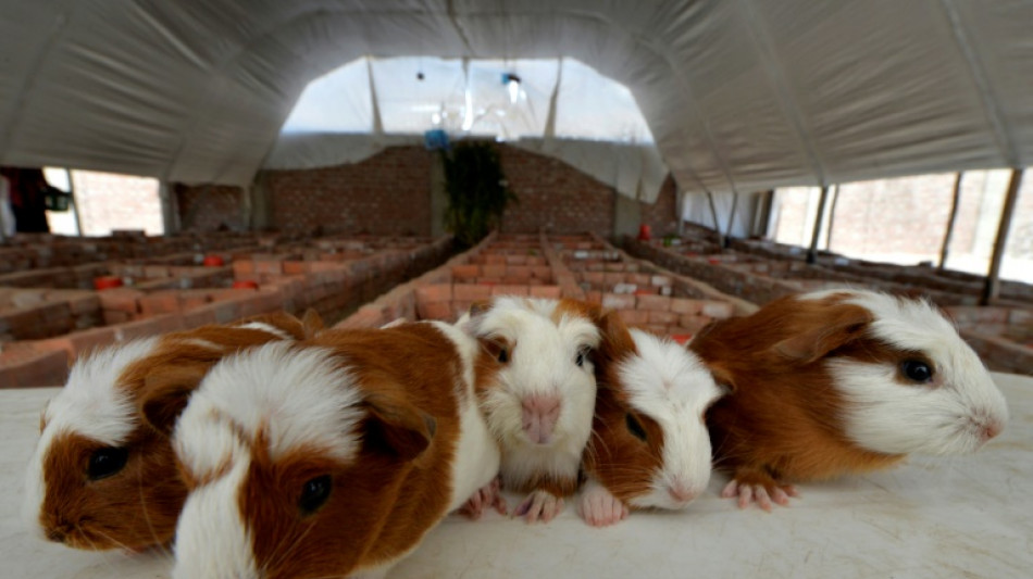 Unbekannter klaut Erfurter Sch&uuml;lern Tiere aus Streichelzoo