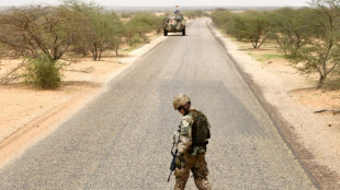 Bundeswehr kann notfalls "innerhalb von Tagen" aus Mali abziehen