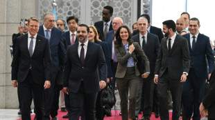 UN Security Council says ready to support Syria on first-ever visit