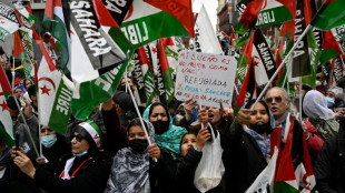 Al menos 2.000 personas se manifiestan en apoyo al S&aacute;hara Occidental en Madrid