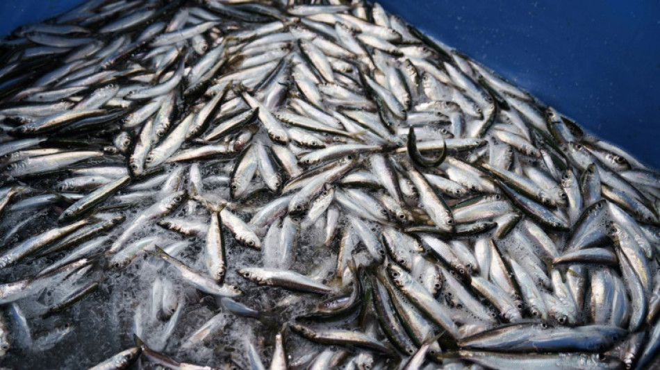 Geld f&uuml;r zur&uuml;ckgenommene K&uuml;rzungspl&auml;ne bei Bauern soll aus Fischereifonds kommen