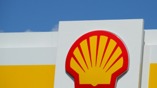 Pays-Bas: des ONG d&eacute;bout&eacute;es en appel par la justice dans une affaire climatique contre Shell