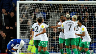 Newcastle thrash Everton to close in on Champions League