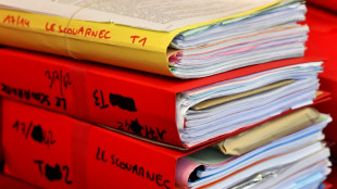 Francia juzgar&aacute; a un cirujano por agredir y violar a 299 v&iacute;ctimas, en su mayor&iacute;a ni&ntilde;os