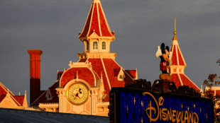 Apr&egrave;s La Reine des Neiges en 2026, Disneyland Paris mettra Le Roi Lion &agrave; l'honneur