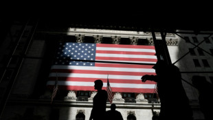 Wall Street replonge, d&eacute;&ccedil;ue par les r&eacute;sultats d'entreprises