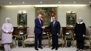 Sisi recibe a Erdogan en su primera visita a Egipto en m&aacute;s de diez a&ntilde;os