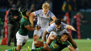 Erasmus hails brave, tough Italy after Springboks victory