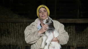 Dans l'agriculture, le parcours des combattantes 