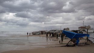 Gaza: Hamas, piano Trump razzista, sradica causa Palestina