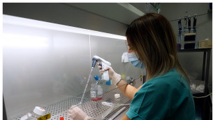 Ottenuto il primo virus sintetico, con l'aiuto dell'IA