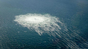 Ukraine und Polen machen Russland f&uuml;r Nord-Stream-Lecks verantwortlich