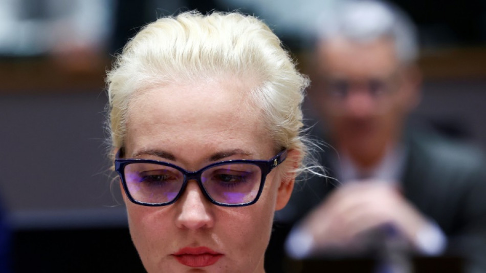 Vi&uacute;va de Navalny manteve reuni&atilde;o com ministros de Rela&ccedil;&otilde;es Exteriores da UE 