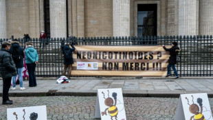 La France renonce &agrave; autoriser les n&eacute;onicotino&iuml;des pour les semences de betterave