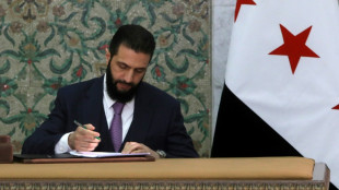 Syrie: adoption d'une d&eacute;claration constitutionnelle, "nouvelle page de l'histoire"