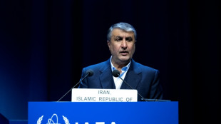 Ir&aacute;n rechaza el proyecto de resoluci&oacute;n nuclear presentado por los occidentales al OIEA