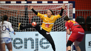 Hand/Euro-2024: La route de Vienne passe par la Su&egrave;de