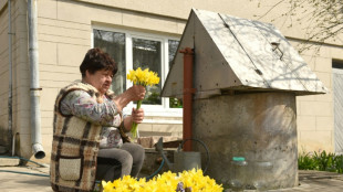 En medio de la guerra, las flores de primavera adquieren tintes patri&oacute;ticos en Ucrania