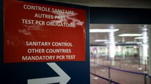 Pass sanitaire aux fronti&egrave;res: possible jusqu'&agrave; fin janvier 2023, votent les d&eacute;put&eacute;s