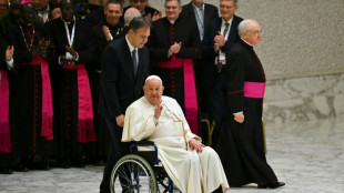 El papa pide la liberaci&oacute;n de todos los periodistas "injustamente encarcelados"