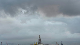 Espa&ntilde;a desmantela una red que enviaba residuos peligrosos a &Aacute;frica