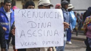 Troubles au P&eacute;rou: le Parlement refuse &agrave; nouveau des &eacute;lections anticip&eacute;es en 2023