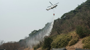 South Korea says 19 dead in raging wildfires