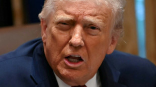 Ukraine should hold elections, Trump says