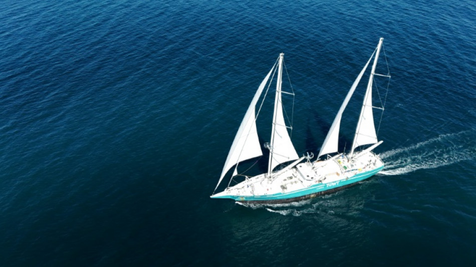 Mitgliedsl&auml;nder der Seeschiffahrts-Organisation stimmen f&uuml;r weltweites CO2-Preissystem